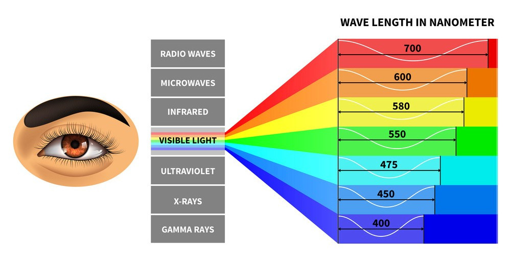 Het elektromagnetisch spectrum: radiogolven, microgolven, infrarood, zichtbaar licht, ultraviolet, r&ouml;ntgen- en gammastralen, met daarnaast de golflengten van het zichtbare licht van 700 nm (rood) tot 400 nm (violet).